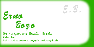 erno bozo business card